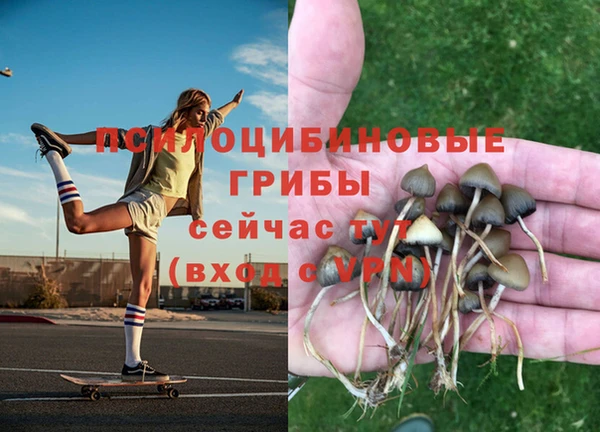 MDMA Premium VHQ Верея
