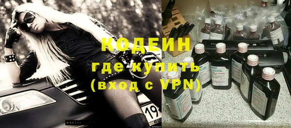 индика Бердск