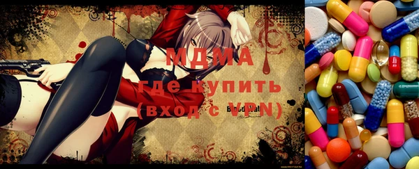 индика Бердск