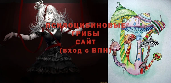 apvp Верхний Тагил